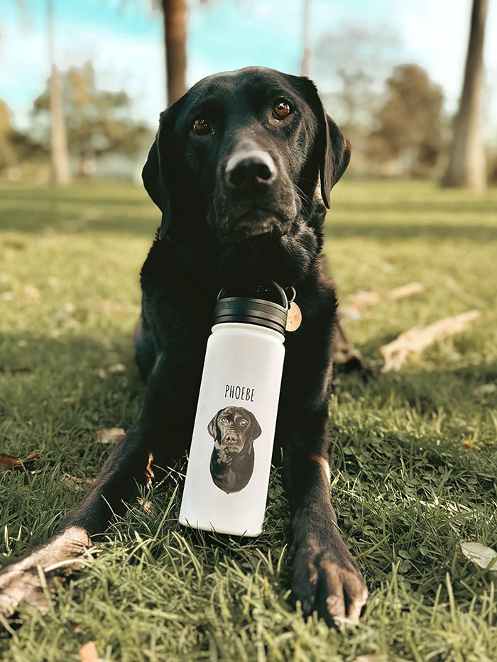 Minimalist Design - Personalised Water Bottle