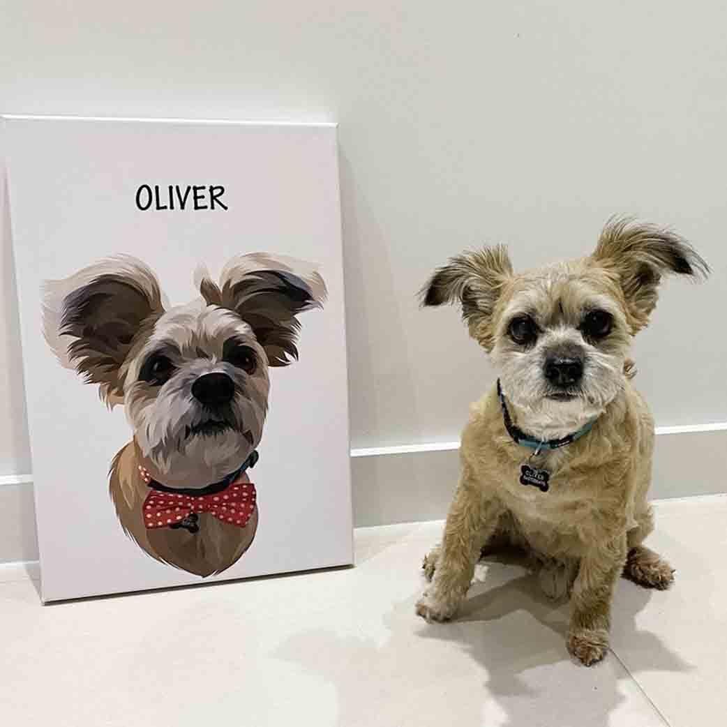 Minimalist Design - Custom Pet Blanket - NextGenPaws Pet Portraits