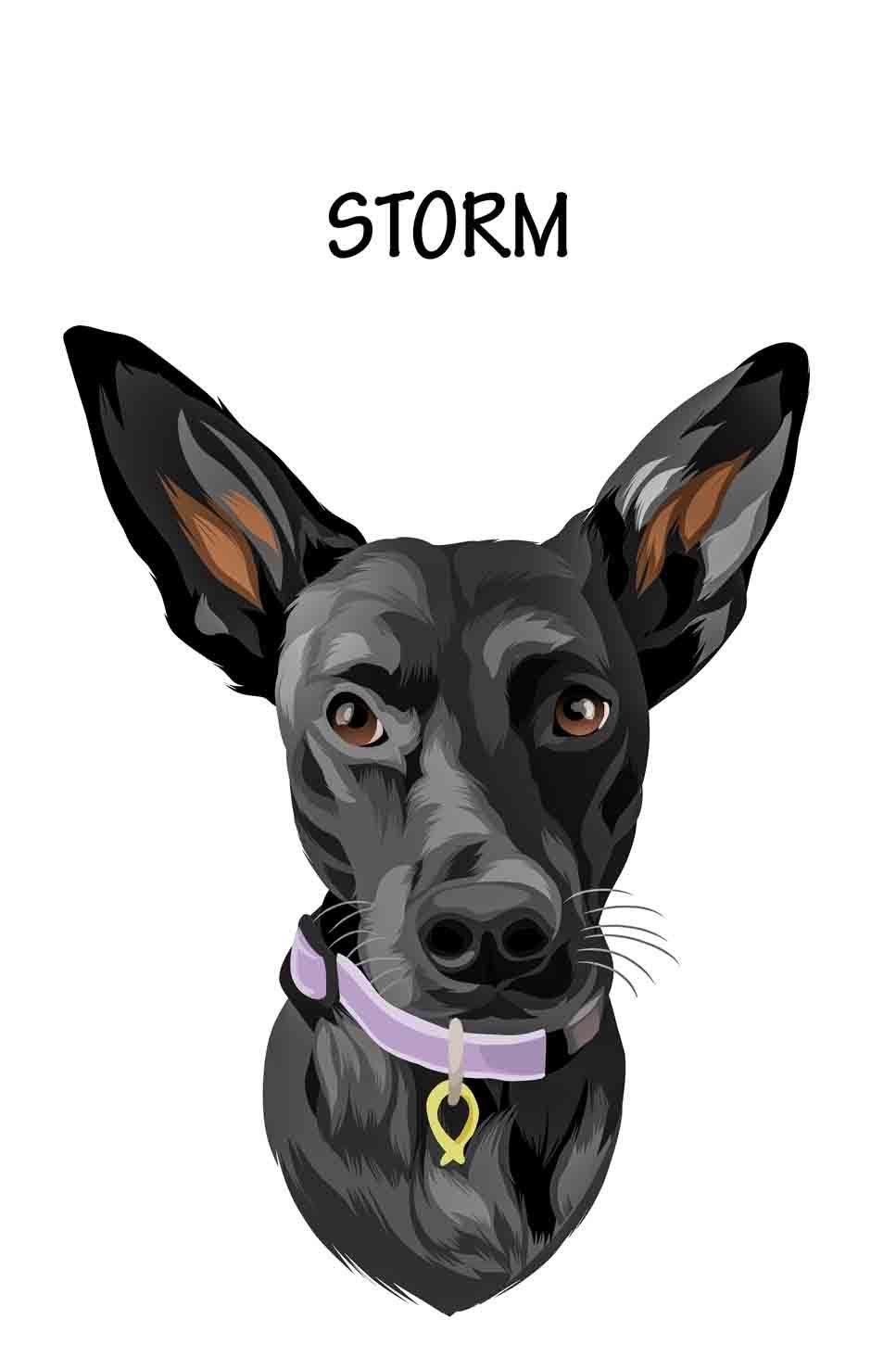 Minimalist Design - Custom Pet Blanket - NextGenPaws Pet Portraits