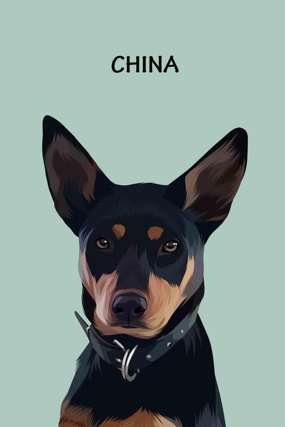 Minimalist Design - Custom Pet Blanket - NextGenPaws Pet Portraits