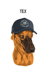 Load image into Gallery viewer, Minimalist Design - Custom Pet Portrait - NextGenPaws Pet Portraits