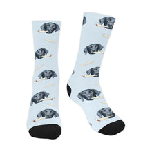 Load image into Gallery viewer, Socks - NextGenPaws Pet Portraits