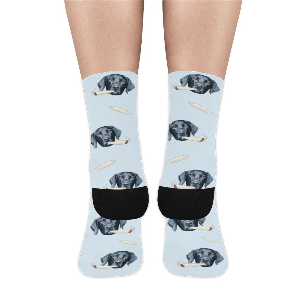 Socks - NextGenPaws Pet Portraits