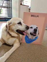 Load image into Gallery viewer, Minimalist Design - Custom Pet Portrait - NextGenPaws Pet Portraits