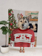 Load image into Gallery viewer, Christmas Solo - Custom Pet Blanket - NextGenPaws Pet Portraits