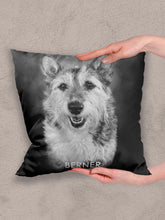 Load image into Gallery viewer, ModerNoir - Custom Pet Pillow - NextGenPaws Pet Portraits