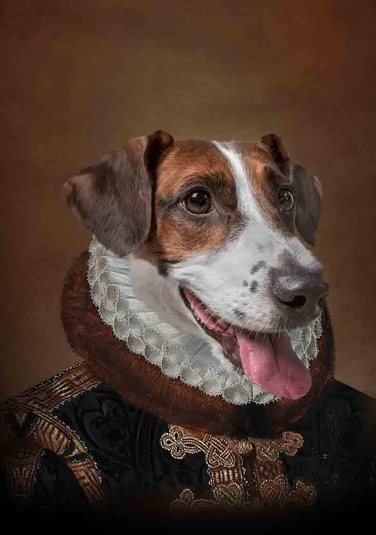 The Duke - Custom Pet Blanket - NextGenPaws Pet Portraits
