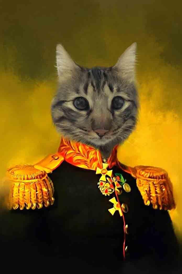 The Commander - Custom Pet Blanket - NextGenPaws Pet Portraits