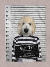 Load image into Gallery viewer, The Convict - Custom Pet Blanket - NextGenPaws Pet Portraits
