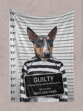 Load image into Gallery viewer, The Convict - Custom Pet Blanket - NextGenPaws Pet Portraits