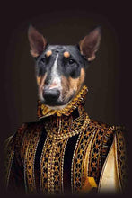 Load image into Gallery viewer, The Persian Prince - Custom Pet Blanket - NextGenPaws Pet Portraits