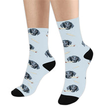 Load image into Gallery viewer, Socks - NextGenPaws Pet Portraits