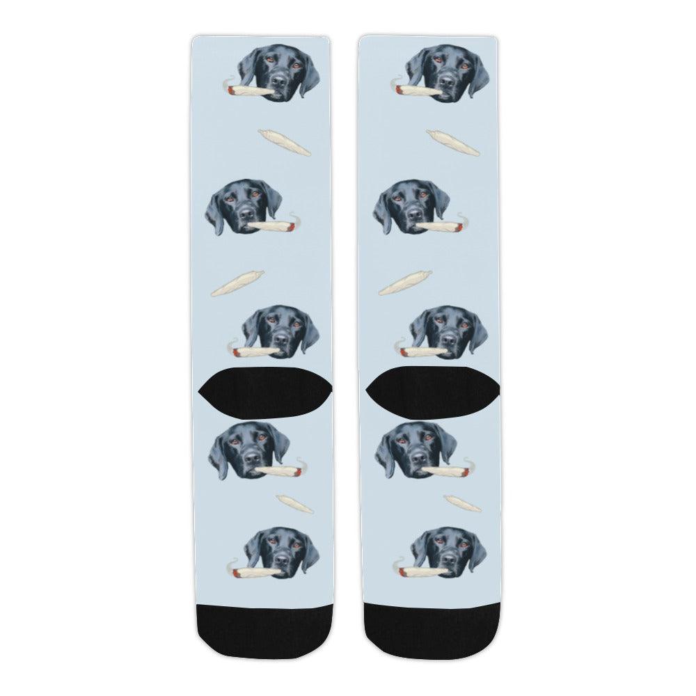 Socks - NextGenPaws Pet Portraits