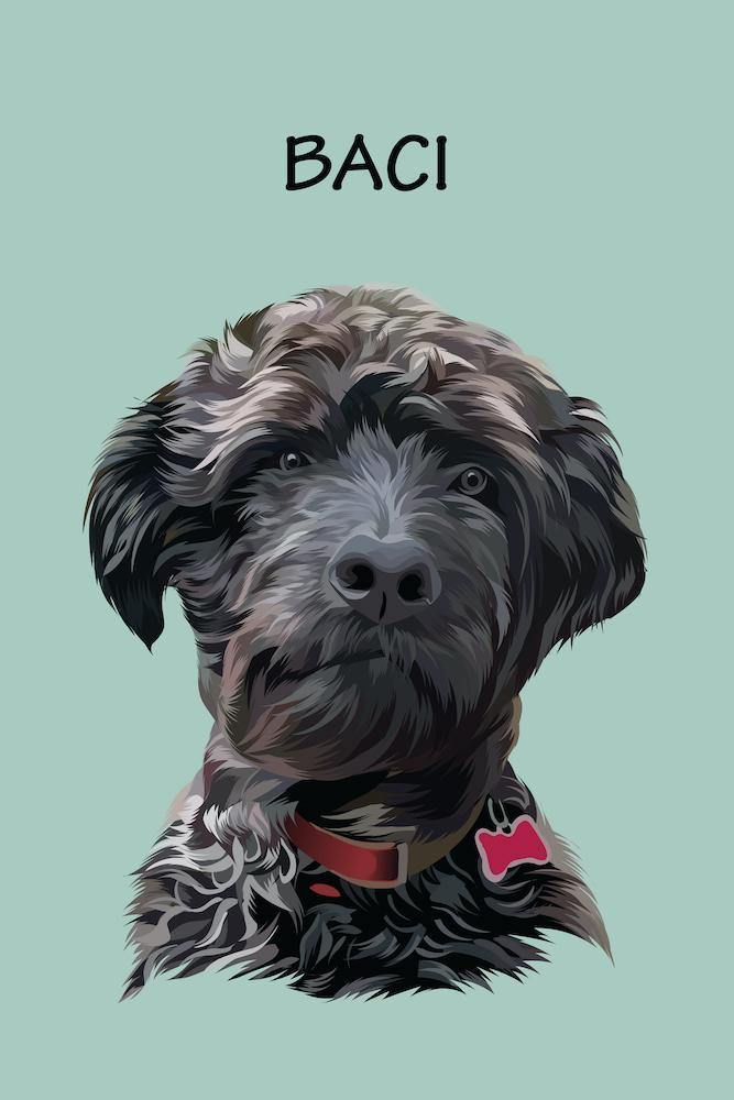 Minimalist Design - Custom Pet Portrait - NextGenPaws Pet Portraits