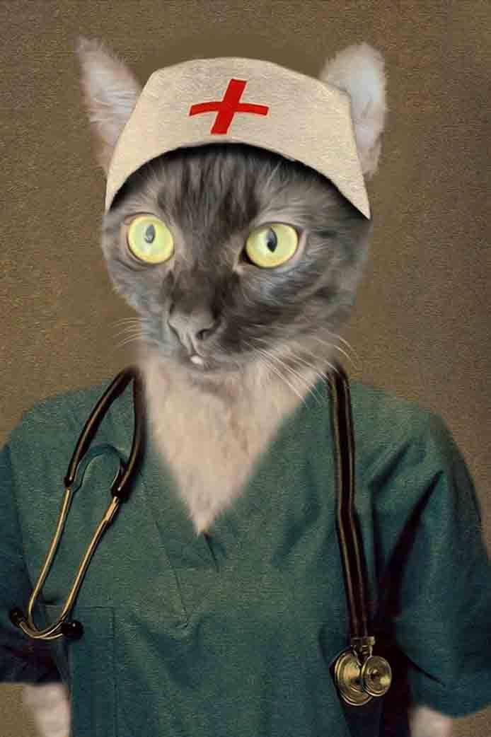 The Nurse - Custom Pet Portrait - NextGenPaws Pet Portraits
