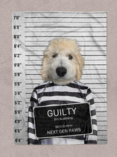 Load image into Gallery viewer, The Convict - Custom Pet Blanket - NextGenPaws Pet Portraits
