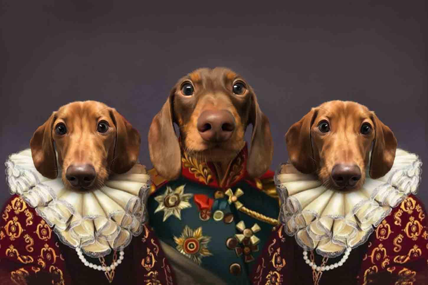 The Royal Trio - Custom Sibling Pet Blanket - NextGenPaws Pet Portraits