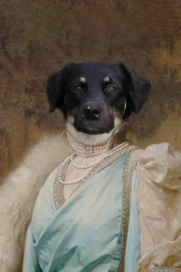 The Ballerina - Custom Pet Portrait - NextGenPaws Pet Portraits